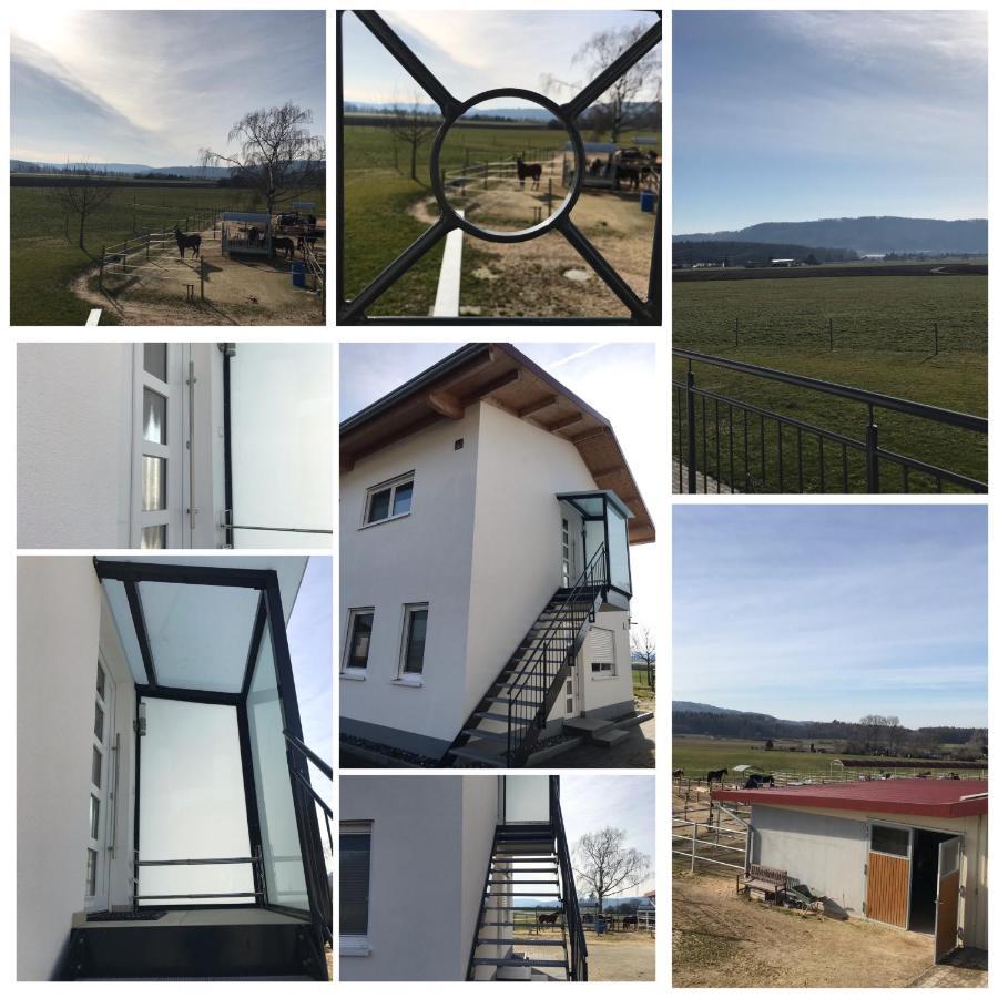 Ferienwohnung Reitanlage Winterhalder Rielasingen-Worblingen Exterior foto